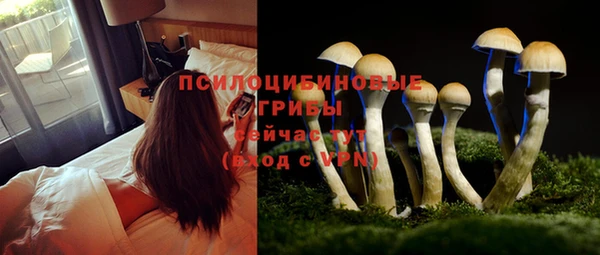 MDMA Premium VHQ Богданович