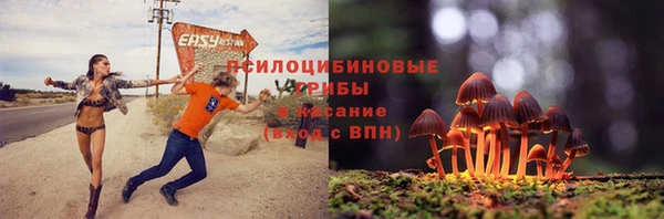 синтетический гашиш Богородск