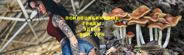 ALPHA PVP Приозерск